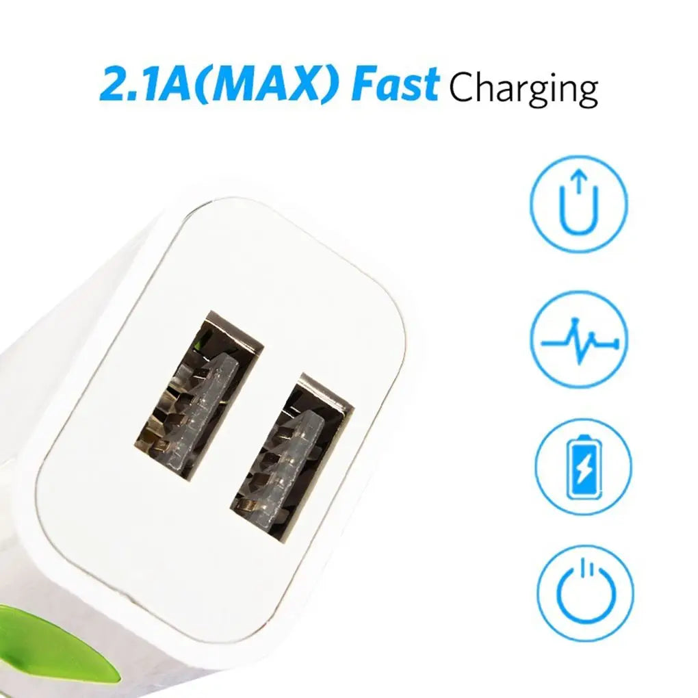 Dual-port USB wall charger for phones.