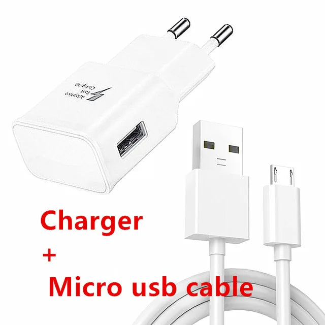 Fast EU USB charger for Samsung.