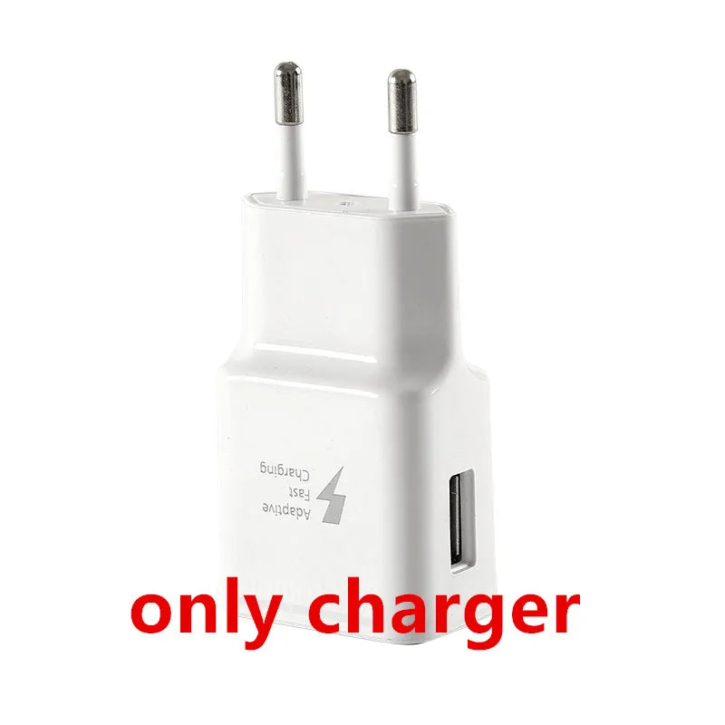 Fast EU USB charger for Samsung.