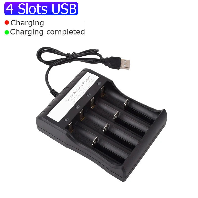 Dual-slot USB charger for lithium batteries.