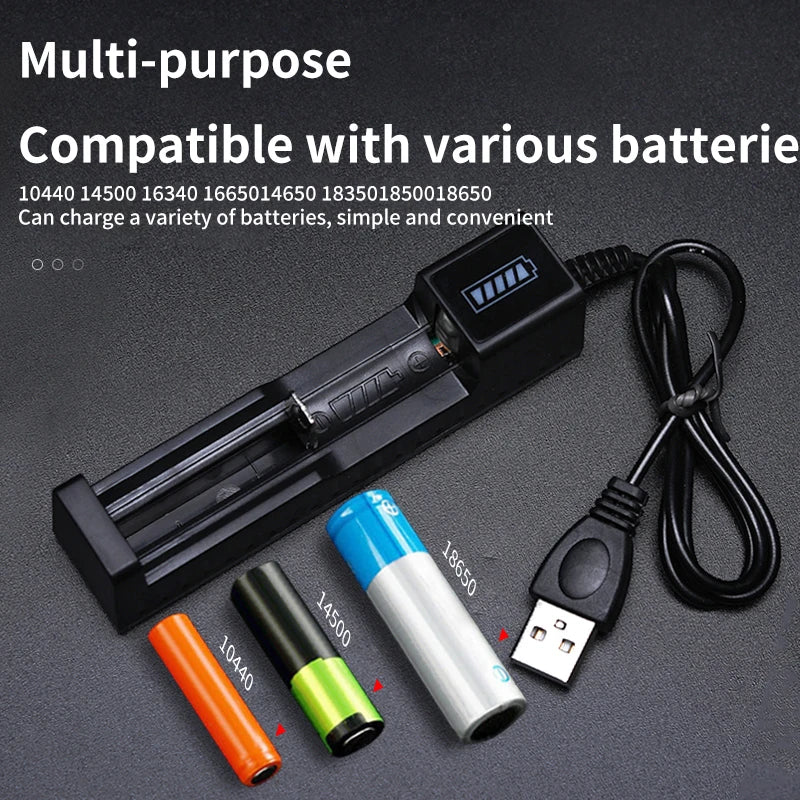 Dual-slot USB charger for lithium batteries.