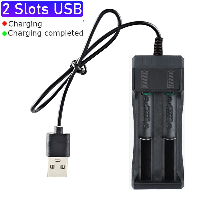 Dual-slot USB charger for lithium batteries.