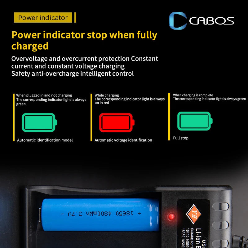 Dual-slot USB charger for lithium batteries.