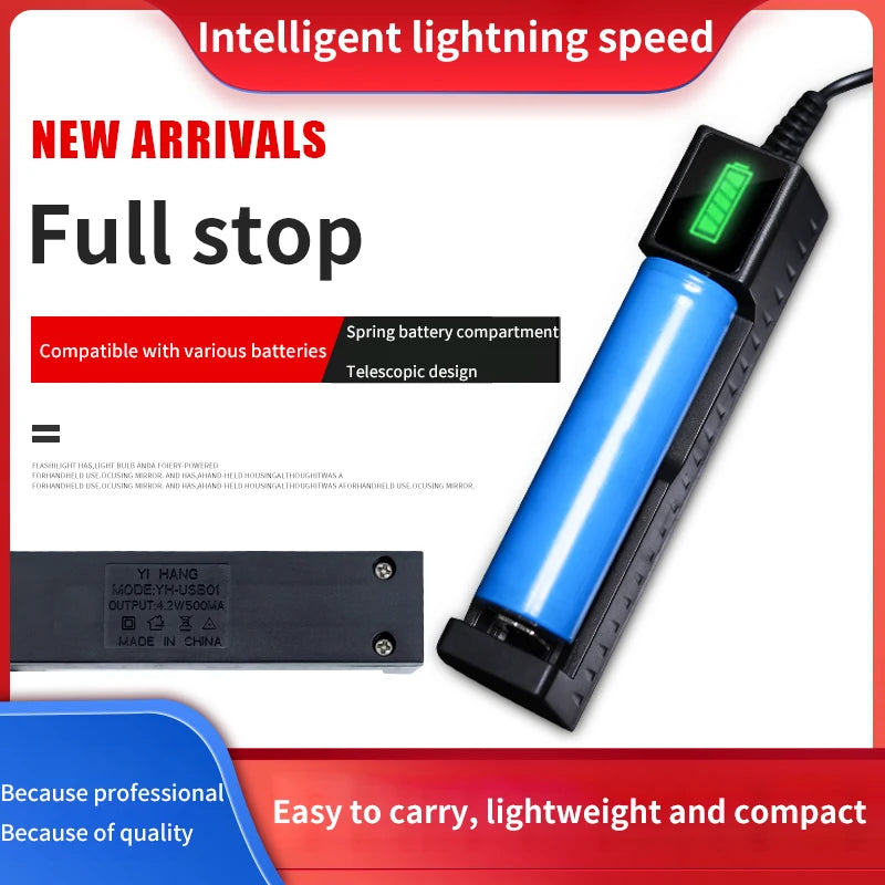 Dual-slot USB charger for lithium batteries.