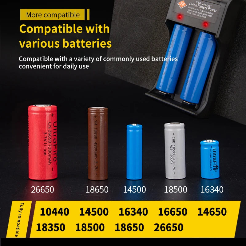 Dual-slot USB charger for lithium batteries.